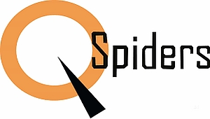 Q-Spider